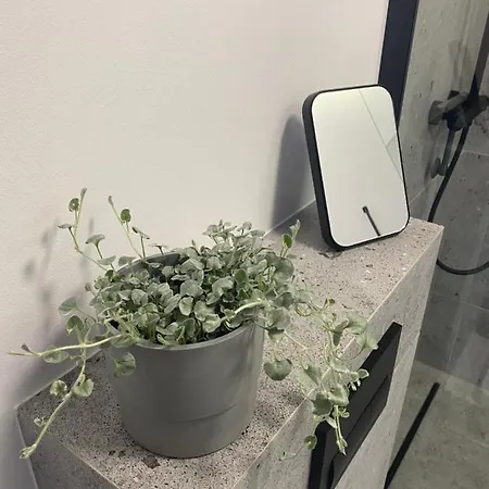 Widok Na Staw Kaliska Koscierskie