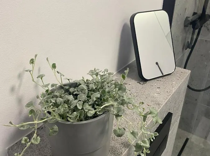 Widok Na Staw Kaliska Koscierskie